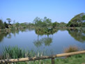 Private static caravan rental image from White Acres Country Park, Newquay, Cornwall 5